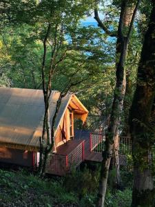 a wooden cabin in the middle of a forest at MIUSSERA SEA GLAMPING in Gudauta