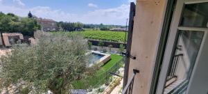 widok na winnicę z okna w obiekcie Le Petit Eden w mieście Saint-Quentin-la-Poterie