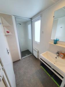 W łazience znajduje się umywalka i lustro. w obiekcie Campingland Ostsee - Mobilheim A2Meeresbriese w mieście Schashagen