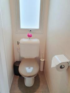 a bathroom with a toilet with a pink flower on top at Campingland Ostsee - Mobilheim A2Meeresbriese in Schashagen