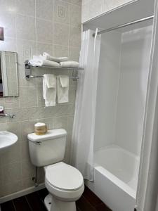 a bathroom with a toilet and a shower and a sink at Chief Motel in Keokuk