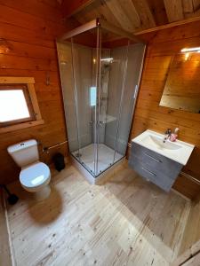 a bathroom with a shower and a toilet and a sink at Lodge on the campsite in Oostvoorne