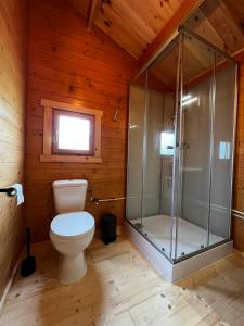 a bathroom with a toilet and a glass shower at Lodge on the campsite in Oostvoorne