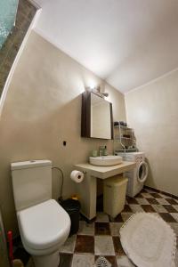 a bathroom with a toilet and a sink at Iraklitsa View in Iraklitsa +39 photos