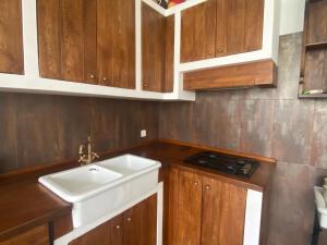 a small kitchen with a sink and wooden cabinets at Jeleńczówka Alte Dorfschule in Parchowo