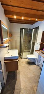 y baño con ducha, lavabo y aseo. en Gästehaus Hanauerbichl en Schönau am Königssee