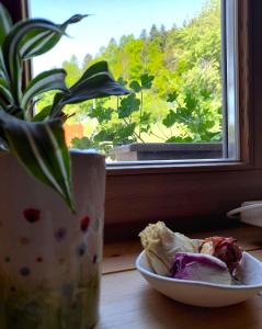 un plato de comida junto a una ventana con una planta en Blumenstube en Sant’Orsola