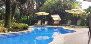 una piscina con sillas y sombrillas en un patio en Playa Negra Guesthouse en Cahuita