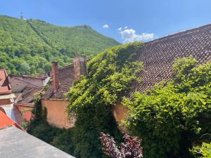 an ivy covered building with a mountain in the background at Casa Albert Boutique & Restaurant in Braşov