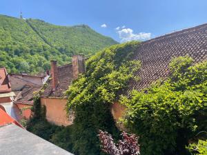 un bâtiment recouvert de lierre avec une montagne en arrière-plan dans l'établissement Casa Albert Boutique & Restaurant, à Braşov