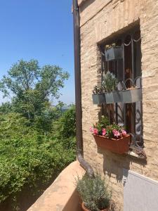 een gebouw met een raam met bloemen erop bij CIRIBACCO ROOMS in Macerata