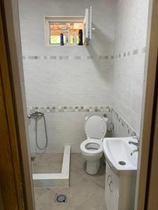 een kleine badkamer met een toilet en een wastafel bij Bandici house in Podgorica