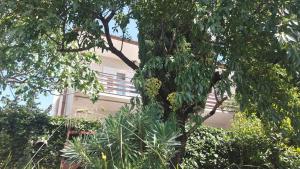 Fotografie z fotogalerie ubytování Corina & Franco v destinaci Senj