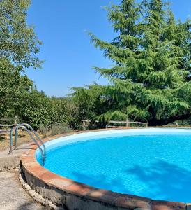 una piscina con un árbol en el fondo en Mobil home en Damiatte