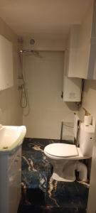 a bathroom with a toilet and a sink at Apartament WILLA ANTA in Dębno