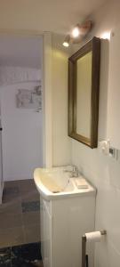 a bathroom with a sink and a mirror and a shower at Apartament WILLA ANTA in Dębno