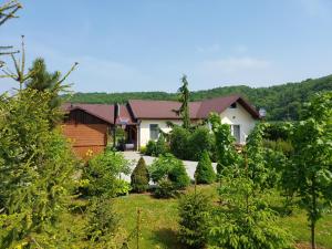 una casa con un patio con árboles en Domek Pod Czubatką, en Kawęczynek