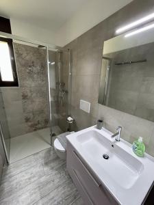 a bathroom with a sink and a shower and a toilet at Maggia in Style in Tegna