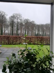 una ventana con vistas a un parque con árboles y césped en Klein Eikelenkamp, en Wilp