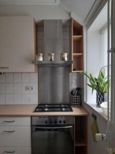 een keuken met een kookplaat en een oven bij Klein Eikelenkamp in Wilp