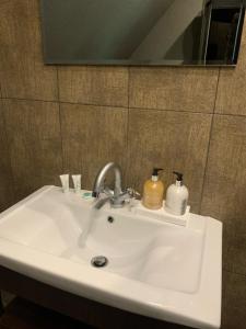 a bathroom sink with two soap bottles on it at Willa Sunshine Zakopane Chalet in Zakopane