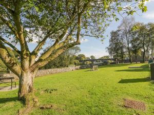 ein Baum in einem Park mit grünem Gras in der Unterkunft Barley Cottage in Newton Stewart