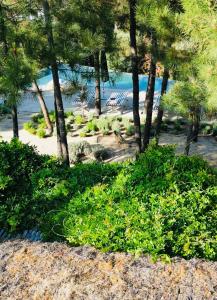 a view of a beach with trees and the ocean at Cabana Lavanda Comporta in Grândola