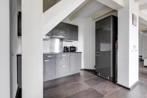Kuchyňa alebo kuchynka v ubytovaní Spacious stylish attic in the heart of the center - Karlovo