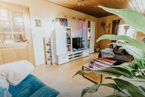 een woonkamer met een bank en een tv bij Ferienwohnungen Hauner in Viechtach