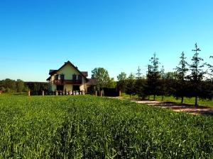 una casa en medio de un campo de hierba en Gospodarstwo Agroturystyczne Domek na Wzgórzu, en Chmielnik