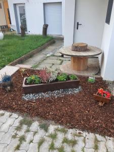 Vonkajšia záhrada v ubytovaní Studio GREEN