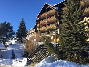 a building in the snow with a tree in the foreground at Studio Le Fontagnel in Molines-en-Queyras