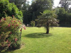 a palm tree in the middle of a grass field at Le Chant Des Oiseaux in Magny-les-Hameaux