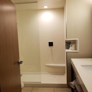 a shower with a glass door in a bathroom at Courtyard by Marriott Battle Creek in Battle Creek
