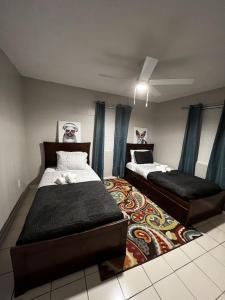 1 Schlafzimmer mit 2 Betten und einem Teppich in der Unterkunft Cozy 2BR Home Near Shands Hospital, UF, and Downtown Gainesville in Gainesville