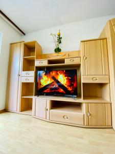TV a/nebo společenská místnost v ubytování Schafberg nahe Zentrum Einzimmer Ferienwohnung