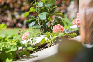 Ein Garten an der Unterkunft Apartment Kazalac Green Oasis
