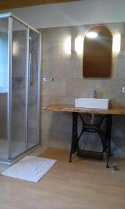 a bathroom with a sink and a shower at idyllischer Landhof Nähe Millstättersee in Fresach