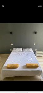 łóżko z dwoma brązowymi poduszkami na górze w obiekcie Jijel w mieście Oum el Bouaghi