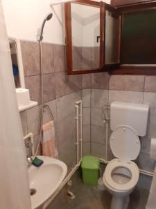 y baño con aseo, lavabo y espejo. en Pantića avlija - Ethno household en Požega