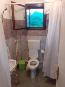 baño con aseo y lavabo y ventana en Pantića avlija - Ethno household en Požega