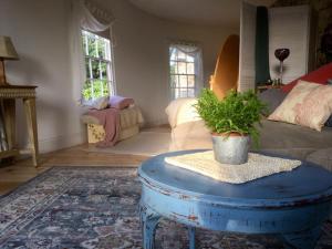 a living room with a table with a potted plant on it at Historic school room in Helston