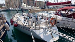 een groep boten aangemeerd in een haven bij sailing Delfina in Genua
