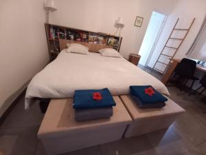 1 dormitorio con 1 cama grande con 2 cojines azules en Villa lagon Boipeba en Le François