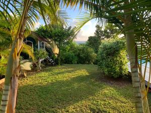 a yard with a palm tree and a house at Villa lagon Boipeba in Le François