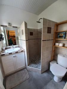 a bathroom with a shower and a toilet and a sink at Villa lagon Boipeba in Le François