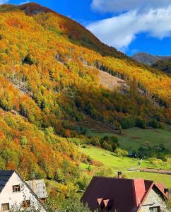 Photo de la galerie de l'établissement Guesthouse Alpini, à Lëpushë