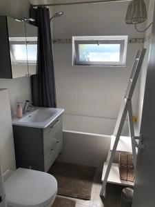 uma casa de banho com um WC, um lavatório e um chuveiro em Het Toeval em Koksijde