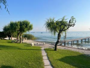 a dog walking along a path next to the ocean at Favola Bella The panoramic penthouse in Bardolino