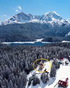 Příroda nedaleko apartmánu